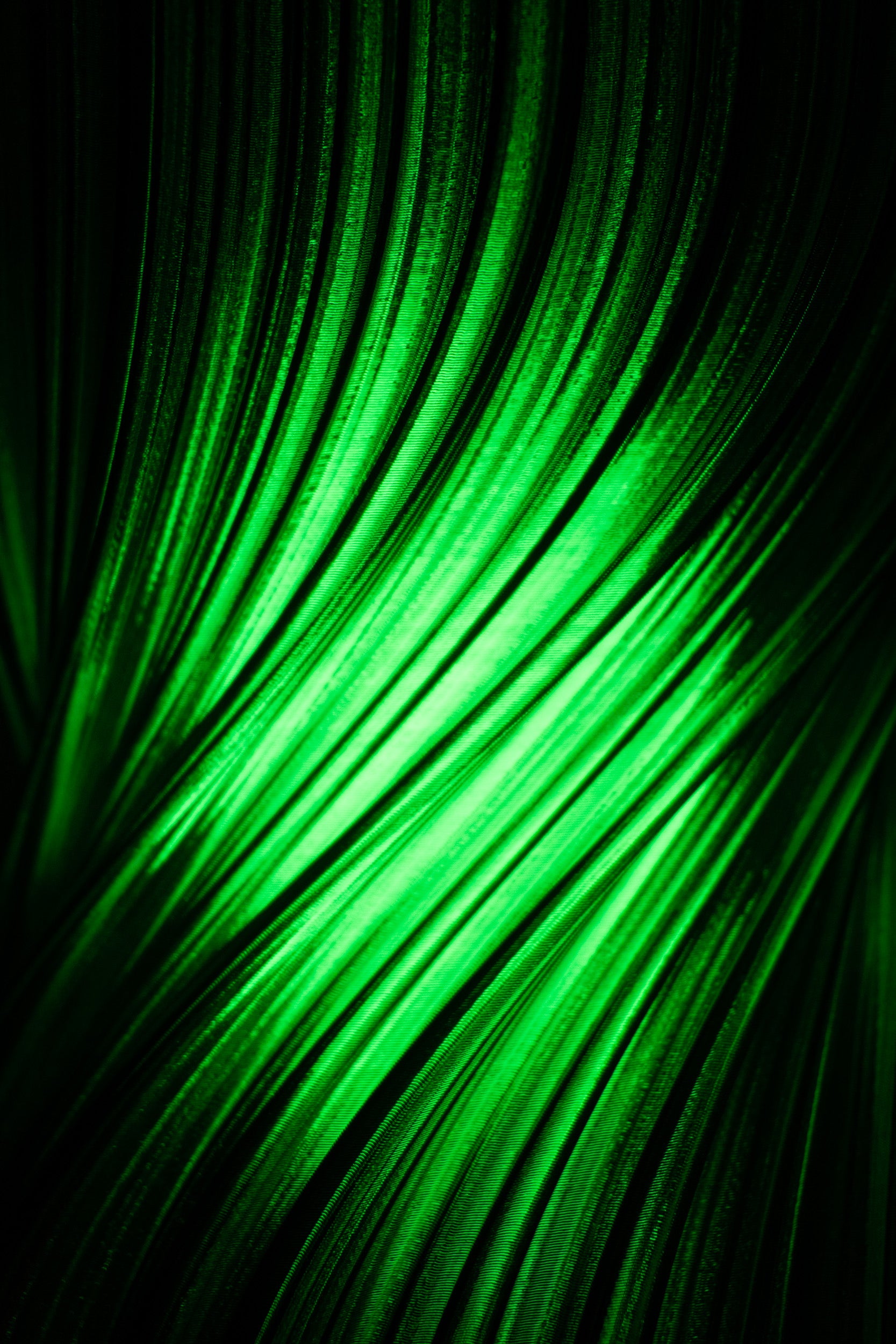 Mynd Dyp Skog bordlampe